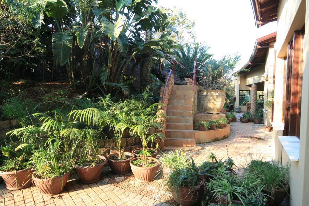 Ammazulu African Palace Kloof Quarto foto